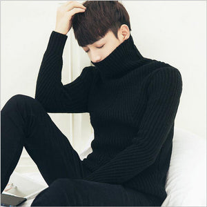 White Black Turtleneck Sweater Men Pullovers Cashmere