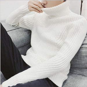 White Black Turtleneck Sweater Men Pullovers Cashmere