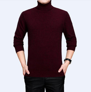 Mens turtleneck cashmere sweater